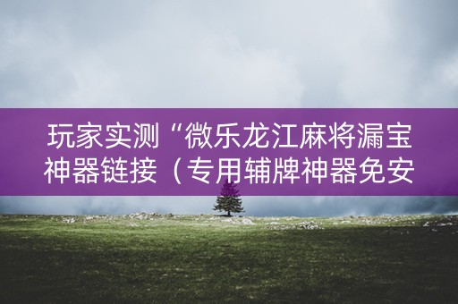 玩家实测“微乐龙江麻将漏宝神器链接（专用辅牌神器免安装）