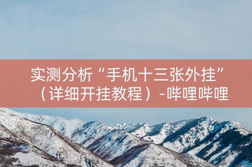 实测分析“手机十三张外挂”（详细开挂教程）-哔哩哔哩
