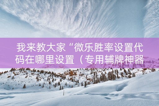 我来教大家“微乐胜率设置代码在哪里设置（专用辅牌神器免安装）