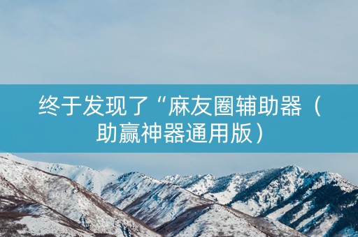 终于发现了“麻友圈辅助器（助赢神器通用版）