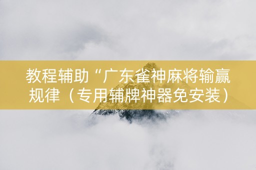 教程辅助“广东雀神麻将输赢规律（专用辅牌神器免安装）
