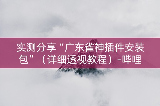 实测分享“广东雀神插件安装包”（详细透视教程）-哔哩哔哩