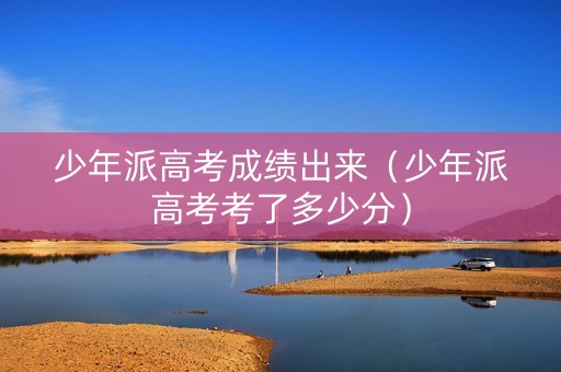 少年派高考成绩出来（少年派高考考了多少分）