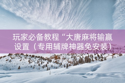 玩家必备教程“大唐麻将输赢设置（专用辅牌神器免安装）
