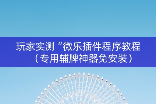 玩家实测“微乐插件程序教程（专用辅牌神器免安装）