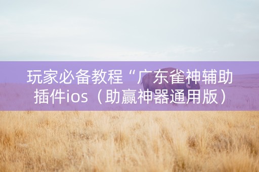 玩家必备教程“广东雀神辅助插件ios（助赢神器通用版）
