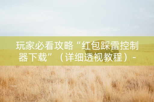 玩家必看攻略“红包踩雷控制器下载”（详细透视教程）-哔哩哔哩