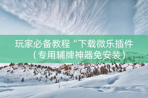 玩家必备教程“下载微乐插件（专用辅牌神器免安装）