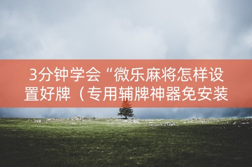 3分钟学会“微乐麻将怎样设置好牌（专用辅牌神器免安装）