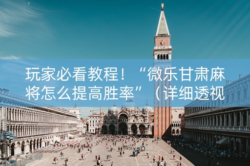 玩家必看教程！“微乐甘肃麻将怎么提高胜率”（详细透视教程）-哔哩哔哩