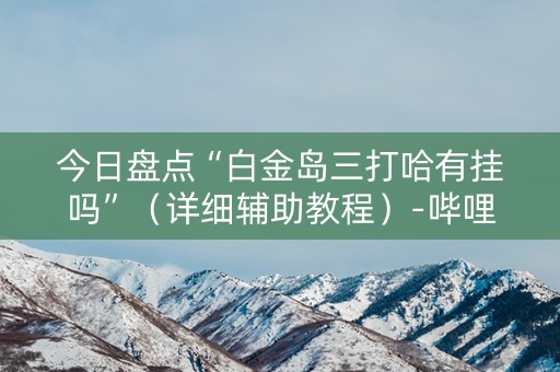 今日盘点“白金岛三打哈有挂吗”（详细辅助教程）-哔哩哔哩