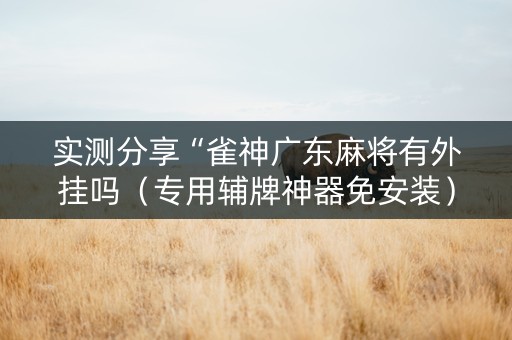 实测分享“雀神广东麻将有外挂吗（专用辅牌神器免安装）