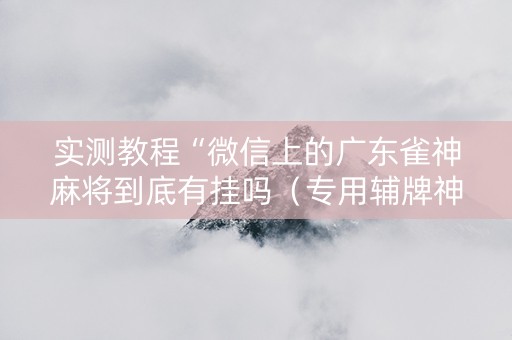 实测教程“微信上的广东雀神麻将到底有挂吗（专用辅牌神器免安装）