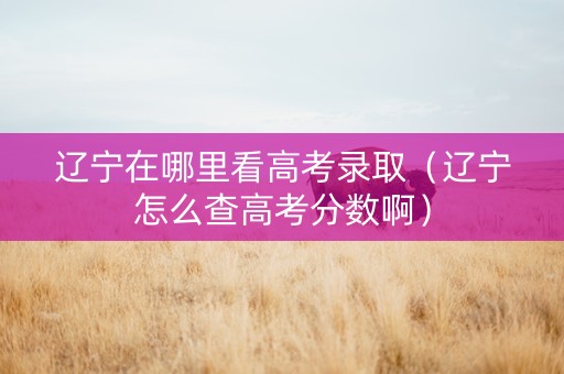 辽宁在哪里看高考录取（辽宁怎么查高考分数啊）