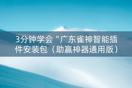 3分钟学会“广东雀神智能插件安装包（助赢神器通用版）