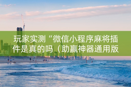 玩家实测“微信小程序麻将插件是真的吗（助赢神器通用版）