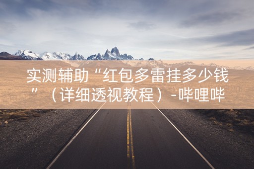 实测辅助“红包多雷挂多少钱”（详细透视教程）-哔哩哔哩