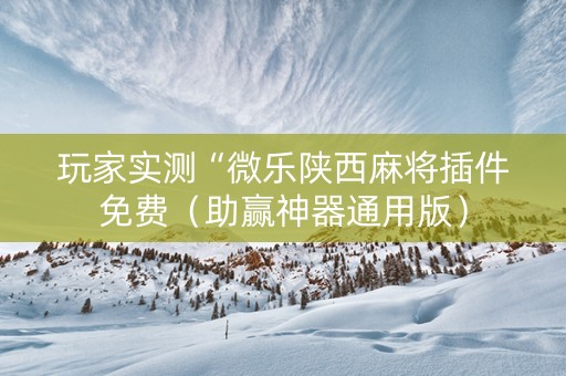 玩家实测“微乐陕西麻将插件免费（助赢神器通用版）