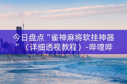 今日盘点“雀神麻将软挂神器”（详细透视教程）-哔哩哔哩