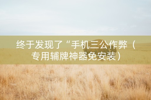 终于发现了“手机三公作弊（专用辅牌神器免安装）