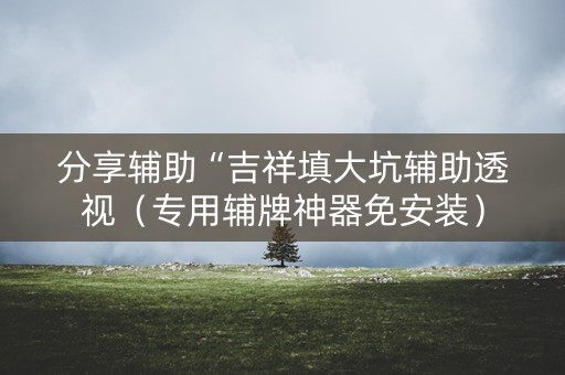 分享辅助“吉祥填大坑辅助透视（专用辅牌神器免安装）