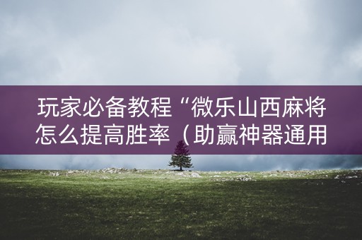 玩家必备教程“微乐山西麻将怎么提高胜率（助赢神器通用版）