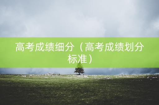 高考成绩细分（高考成绩划分标准）