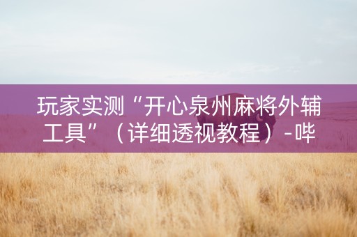 玩家实测“开心泉州麻将外辅工具”（详细透视教程）-哔哩哔哩