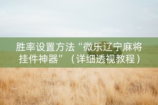 胜率设置方法“微乐辽宁麻将挂件神器”（详细透视教程）-哔哩哔哩