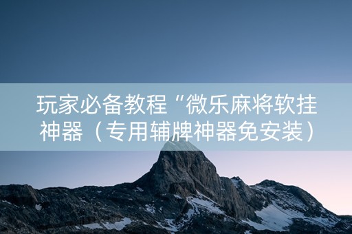 玩家必备教程“微乐麻将软挂神器（专用辅牌神器免安装）