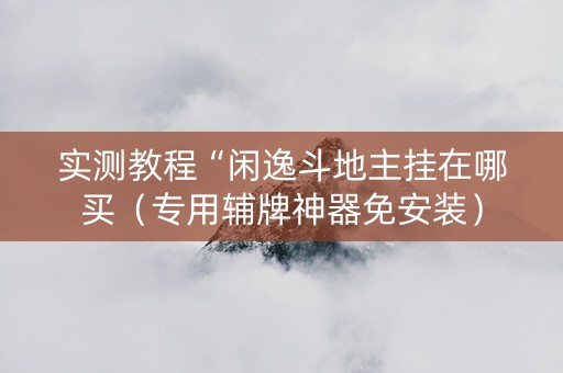 实测教程“闲逸斗地主挂在哪买（专用辅牌神器免安装）