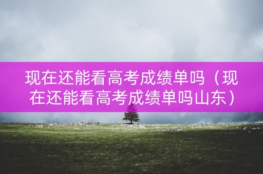 现在还能看高考成绩单吗（现在还能看高考成绩单吗山东）