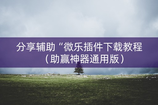 分享辅助“微乐插件下载教程（助赢神器通用版）