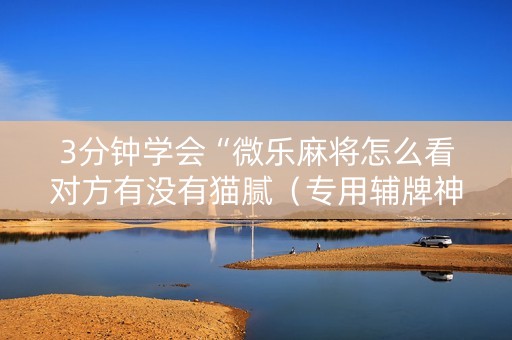 3分钟学会“微乐麻将怎么看对方有没有猫腻（专用辅牌神器免安装）