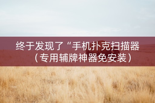 终于发现了“手机扑克扫描器（专用辅牌神器免安装）
