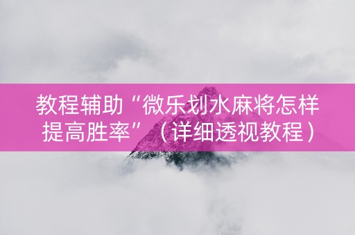 教程辅助“微乐划水麻将怎样提高胜率”（详细透视教程）-哔哩哔哩