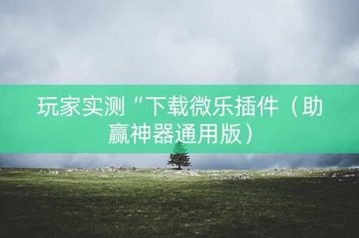 玩家实测“下载微乐插件（助赢神器通用版）
