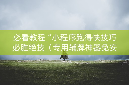 必看教程“小程序跑得快技巧必胜绝技（专用辅牌神器免安装）