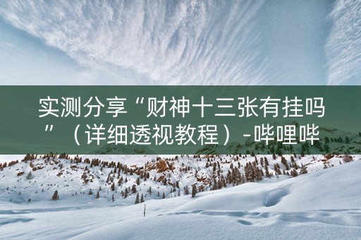 实测分享“财神十三张有挂吗”（详细透视教程）-哔哩哔哩