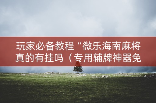 玩家必备教程“微乐海南麻将真的有挂吗（专用辅牌神器免安装）