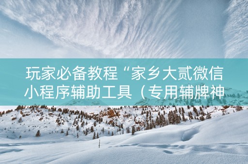 玩家必备教程“家乡大贰微信小程序辅助工具（专用辅牌神器免安装）