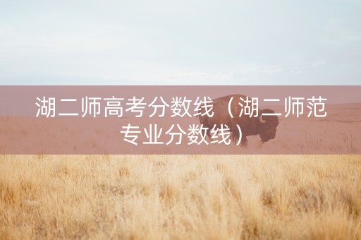 湖二师高考分数线（湖二师范专业分数线）