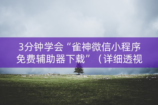 3分钟学会“雀神微信小程序免费辅助器下载”（详细透视教程）-哔哩哔哩