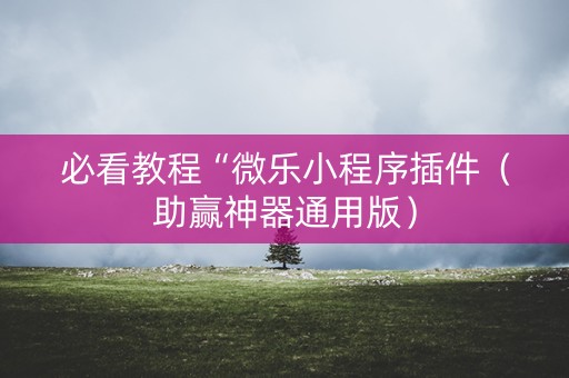 必看教程“微乐小程序插件（助赢神器通用版）