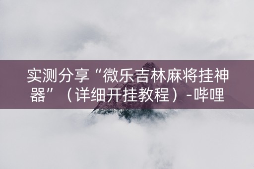 实测分享“微乐吉林麻将挂神器”（详细开挂教程）-哔哩哔哩