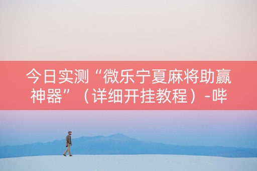 今日实测“微乐宁夏麻将助赢神器”（详细开挂教程）-哔哩哔哩