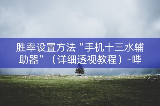 胜率设置方法“手机十三水辅助器”（详细透视教程）-哔哩哔哩
