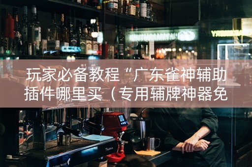 玩家必备教程“广东雀神辅助插件哪里买（专用辅牌神器免安装）