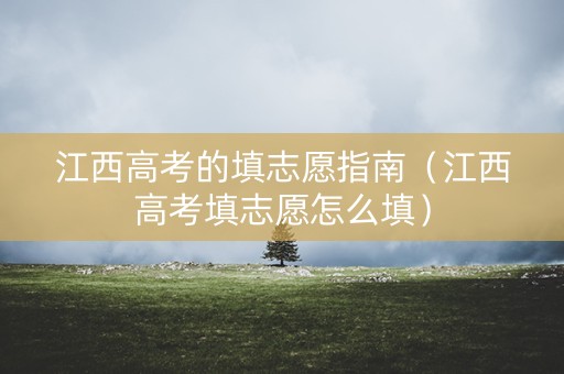 江西高考的填志愿指南（江西高考填志愿怎么填）