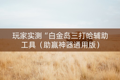 玩家实测“白金岛三打哈辅助工具（助赢神器通用版）